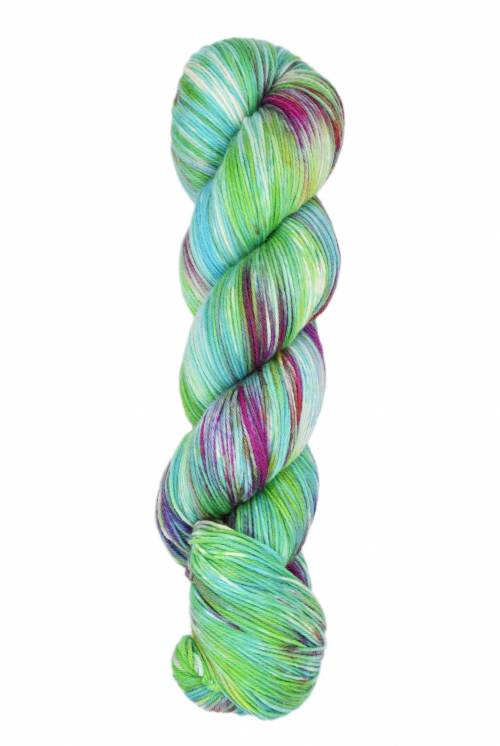 Araucania Huasco Sock Hand Paint and Twilight Paint