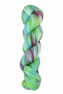 Araucania Huasco Sock Hand Paint and Twilight Paint