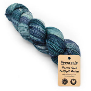 Araucania Huasco Sock Hand Paint and Twilight Paint