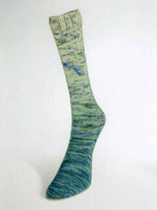 Laines du Nord Paint Gradient Sock