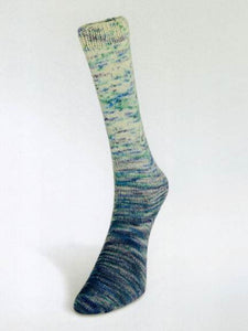 Laines du Nord Paint Gradient Sock